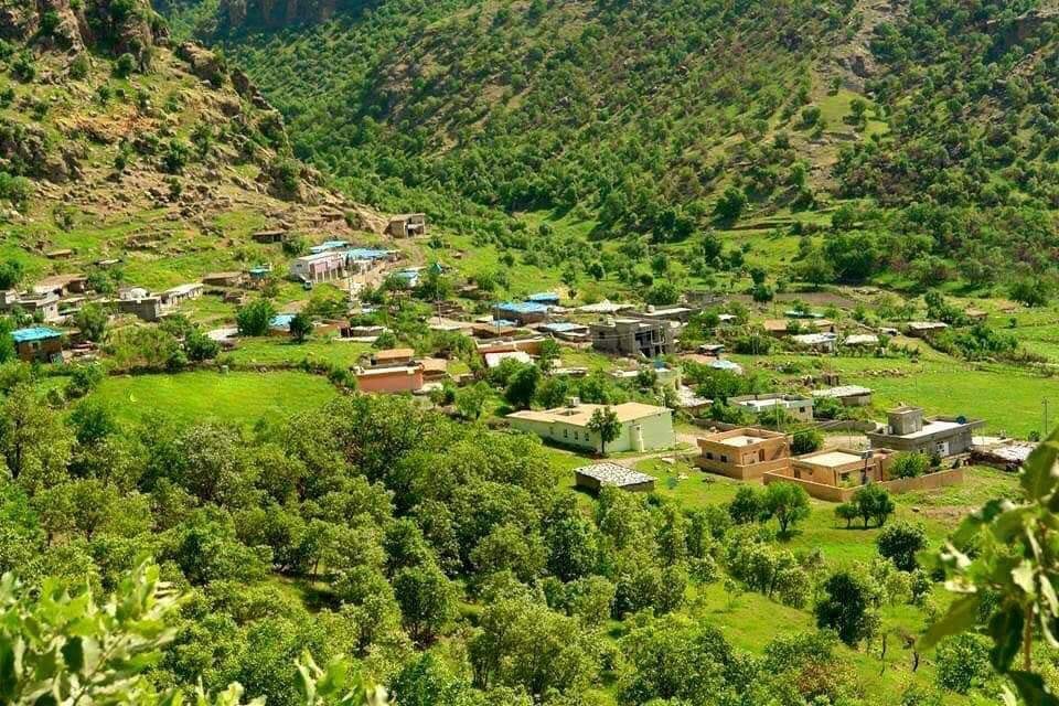 کرین و فرۆشتن لە بالیسان ( Balisan )