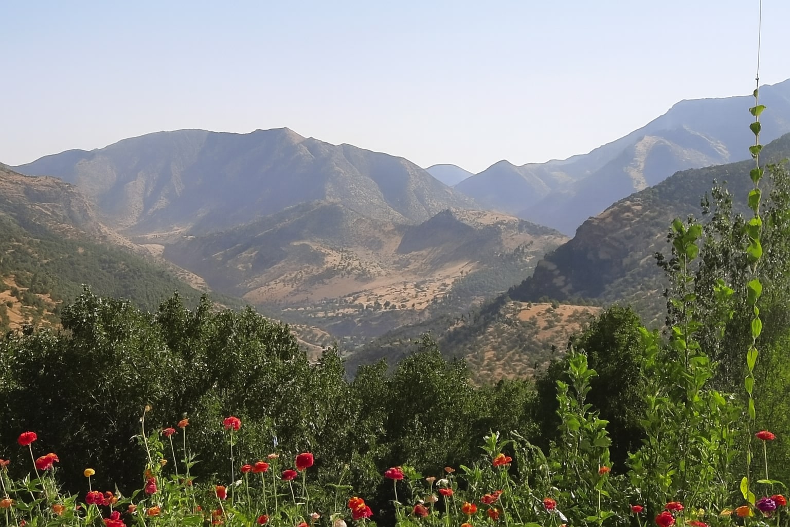 کرین و فرۆشتن لە ناحیەی بامەڕنێ ( Bamarne District )