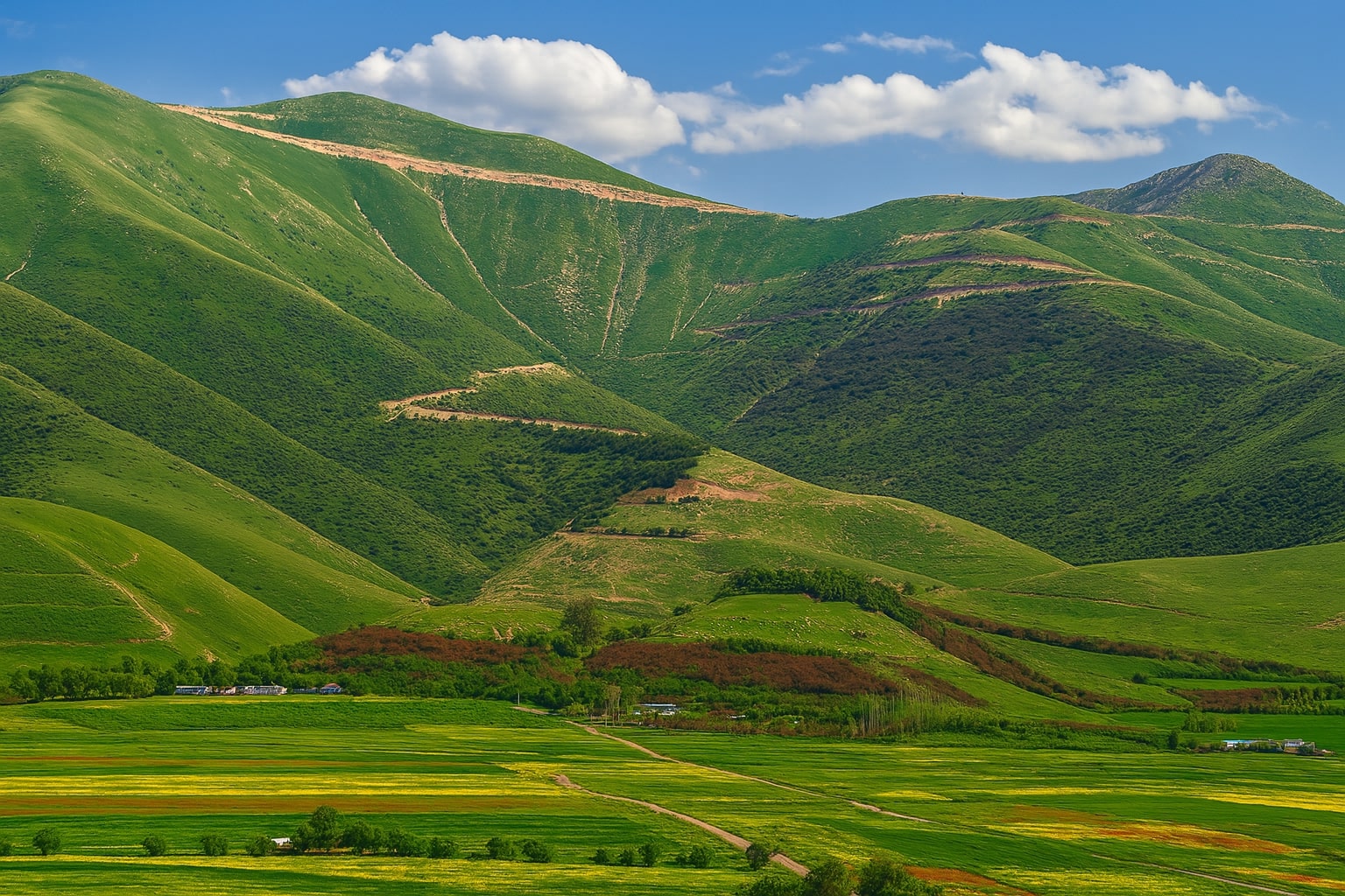 کرین و فرۆشتن بەردەزەرد ( Bardezard Village )