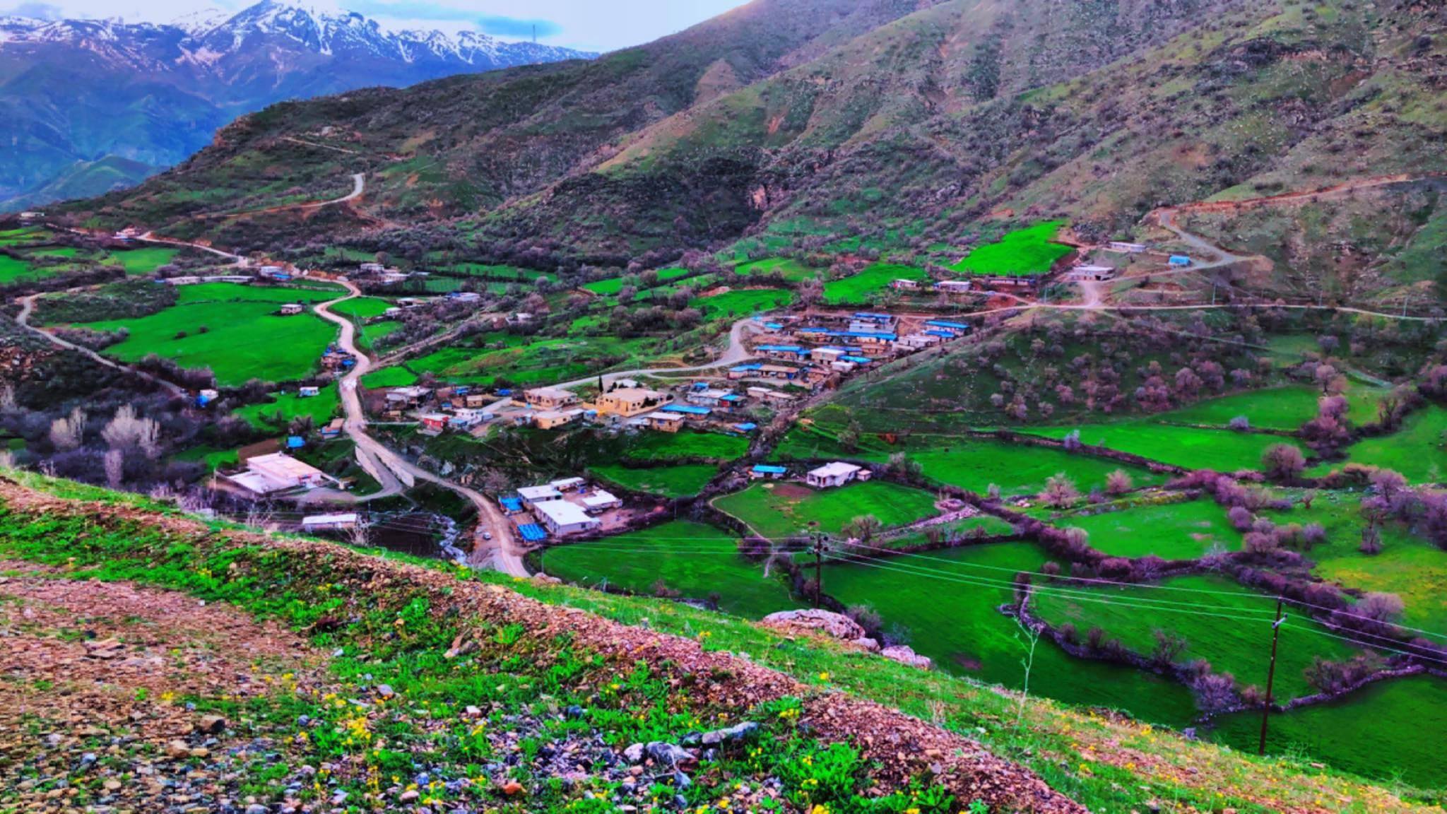 کرین و فرۆشتن لە باوزێ ( Bawze village )