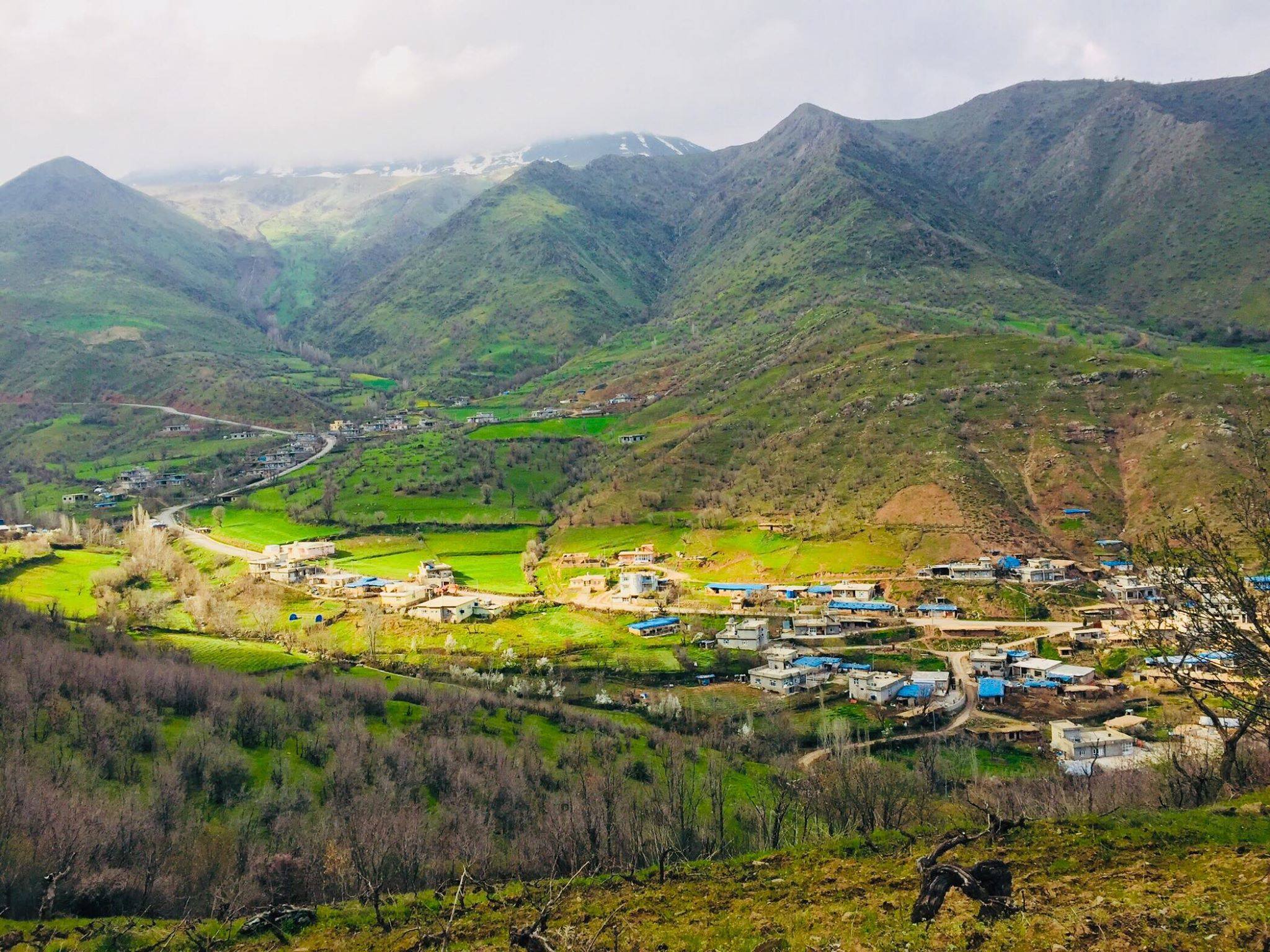 کرین و فرۆشتن لە بێشە ( Besha village )