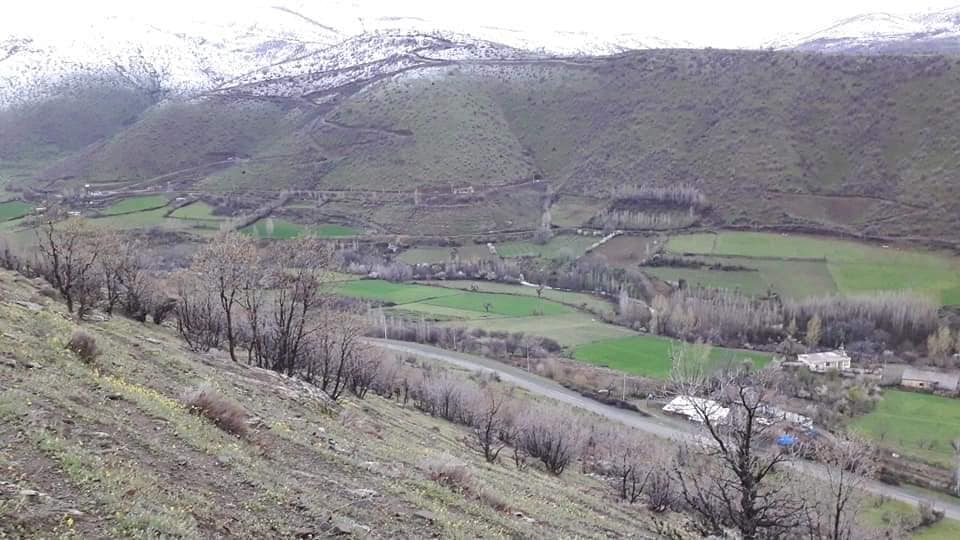 کرین و فرۆشتن لە بێواس ( Bewas village )
