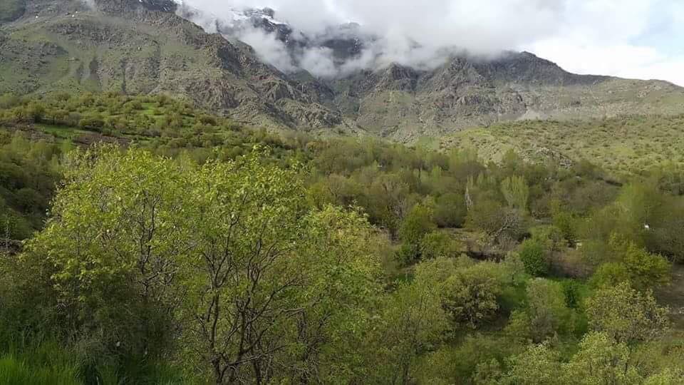کرین و فرۆشتن لە بۆڵێ ( Bole village )
