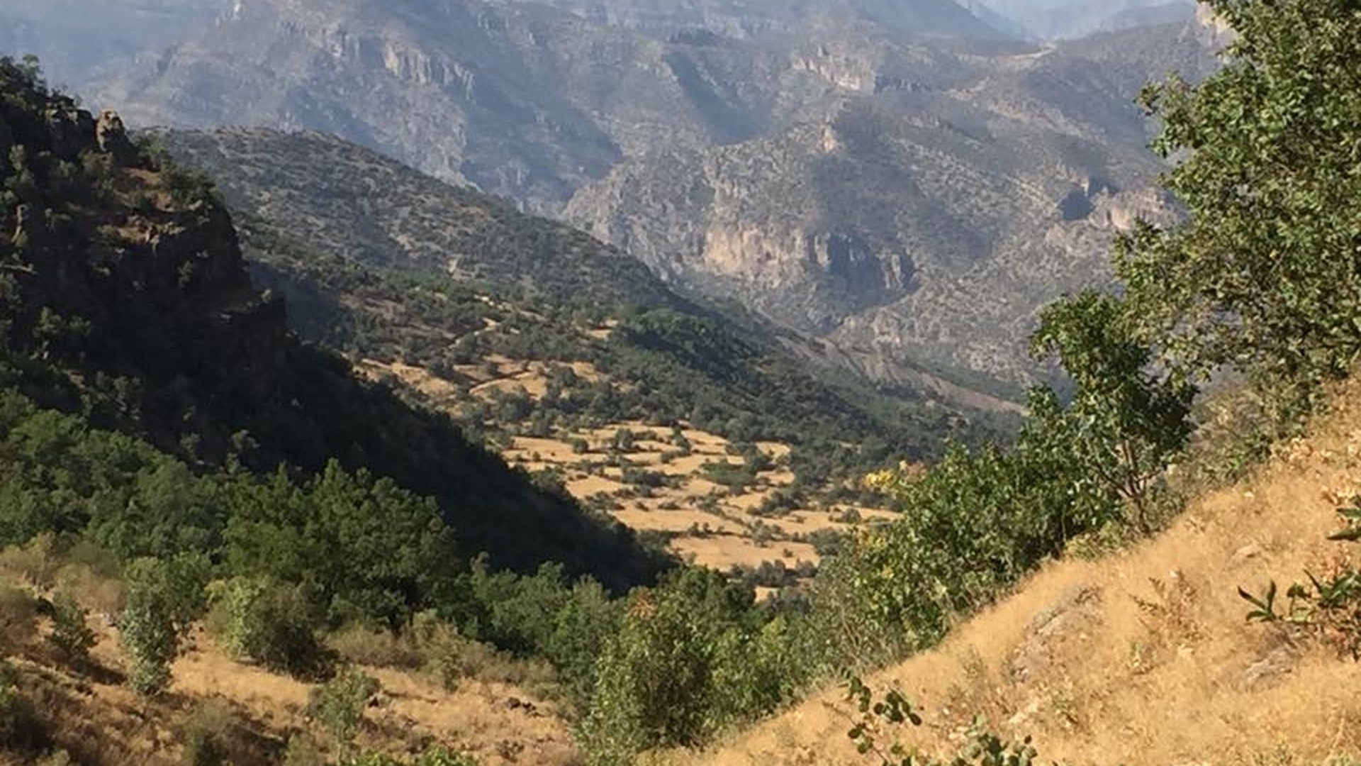 کرین و فرۆشتن لە بوسێ ( Buse Village )