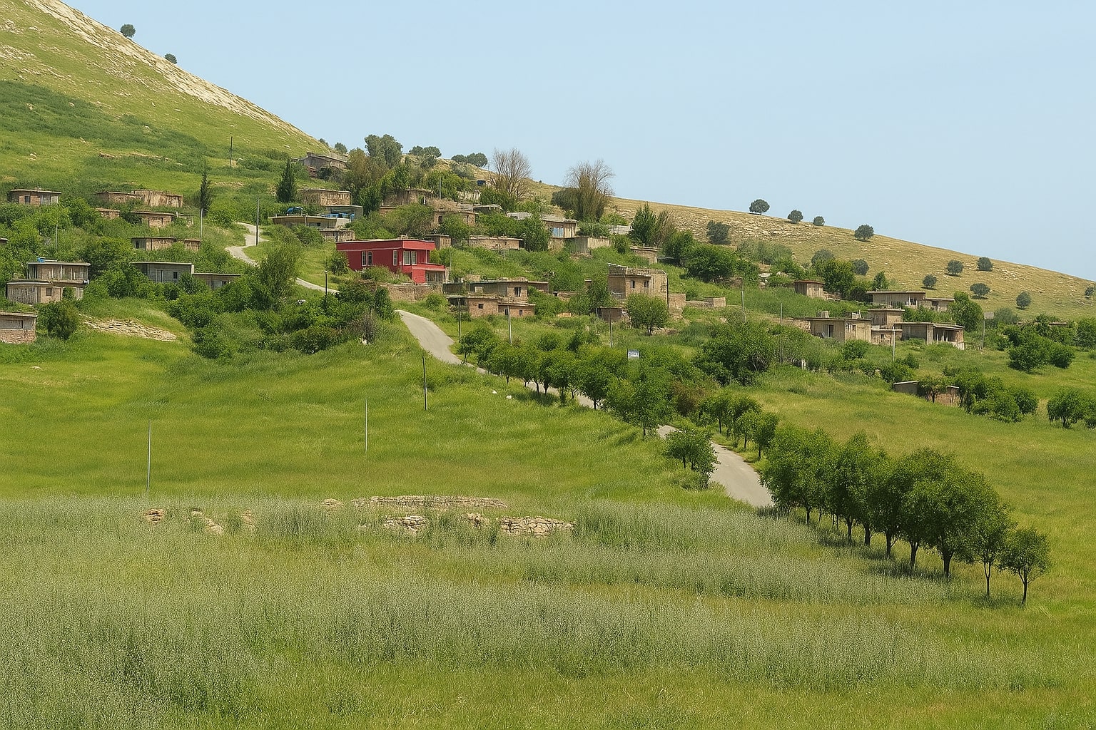کرین و فرۆشتن لە چناره‌ ( Chenara village )