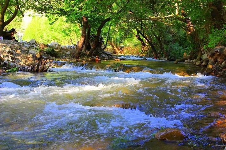 کرین و فرۆشتن لە دەرکار ( Darkar District )