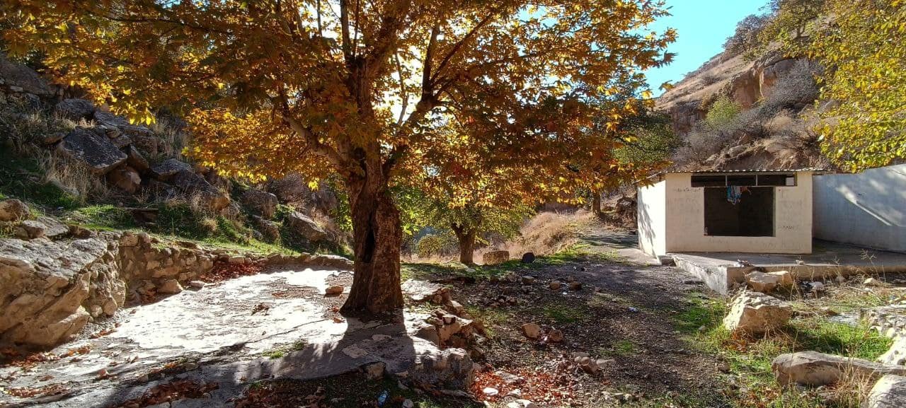 کرین و فرۆشتن لە گوندی دەرماناوە ( Darman Village )