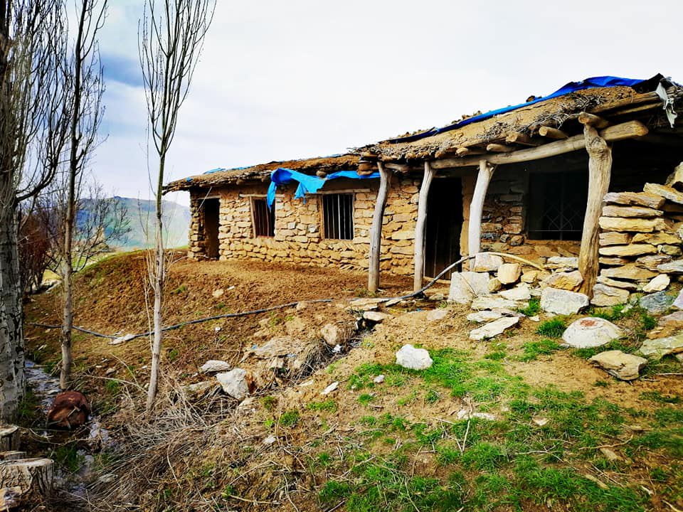 کرین و فرۆشتن لە داسنی ( Dasni village )