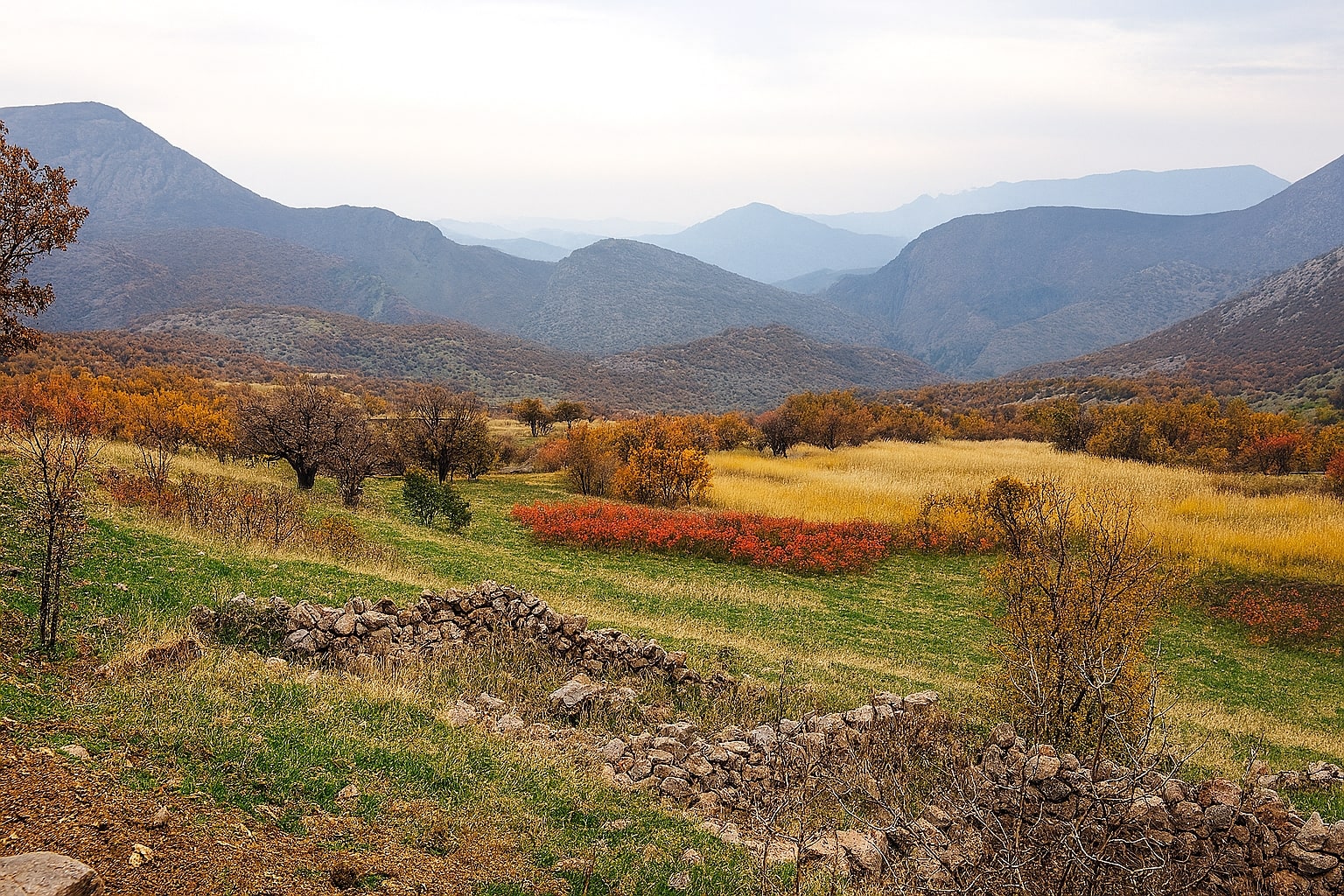 کرین و فرۆشتن لە گیزێ ( Gize village )