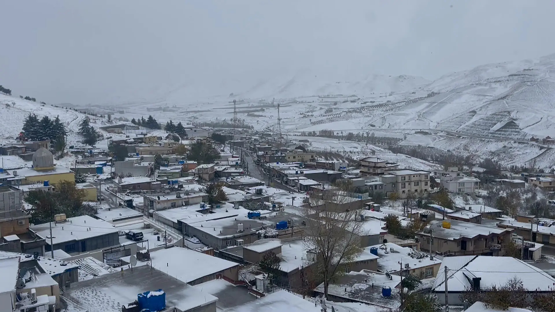 کرین و فرۆشتن لە حاجی ئۆمەران ( Haji Omeran )