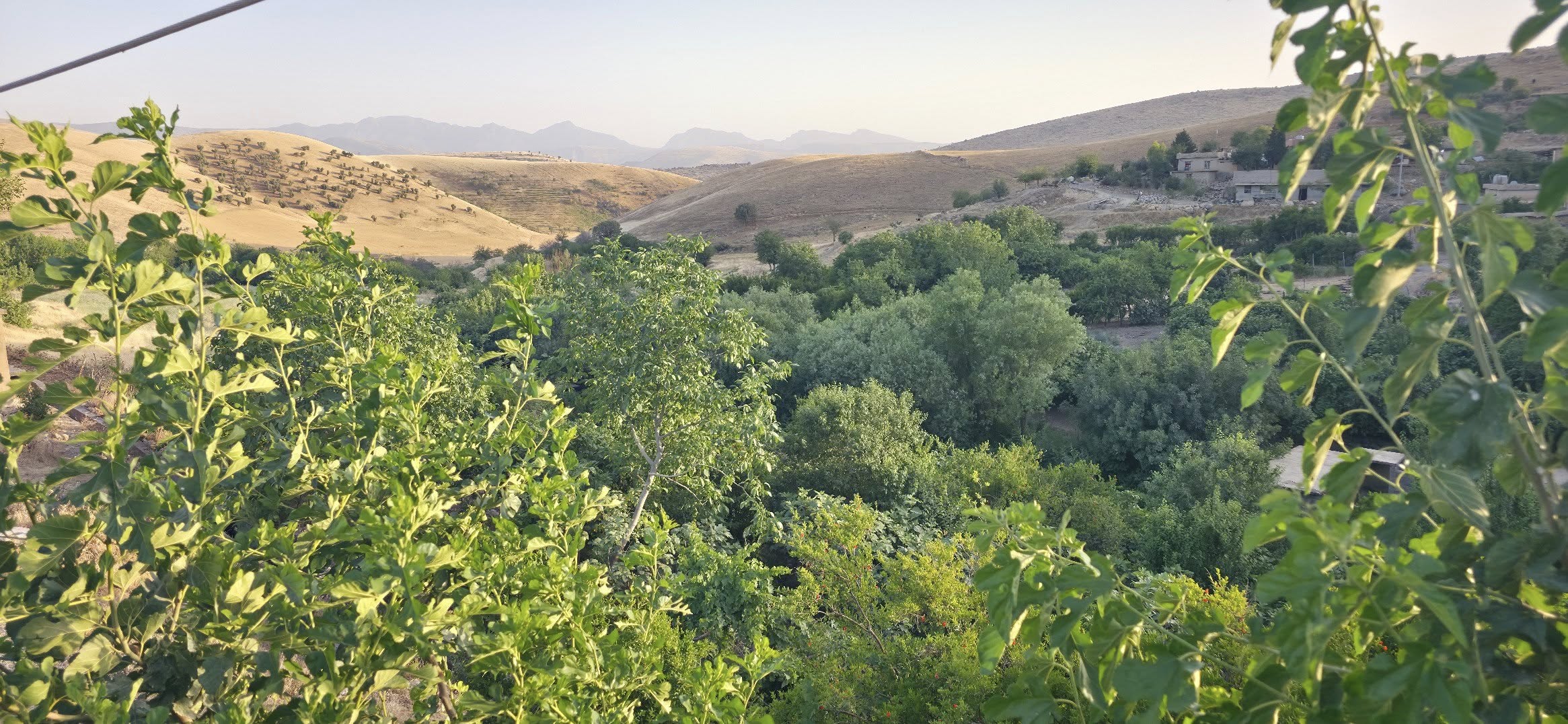 کرین و فرۆشتن لە هەڵۆنە ( Halona village )