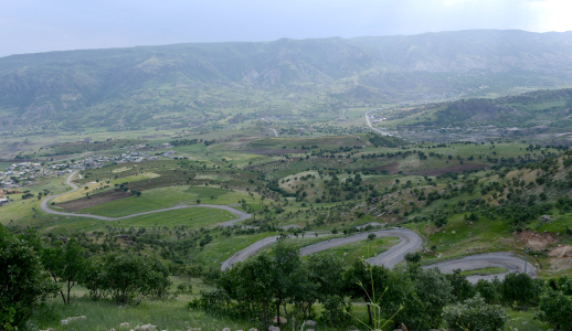 کرین و فرۆشتن لە هیران ( Hiran )