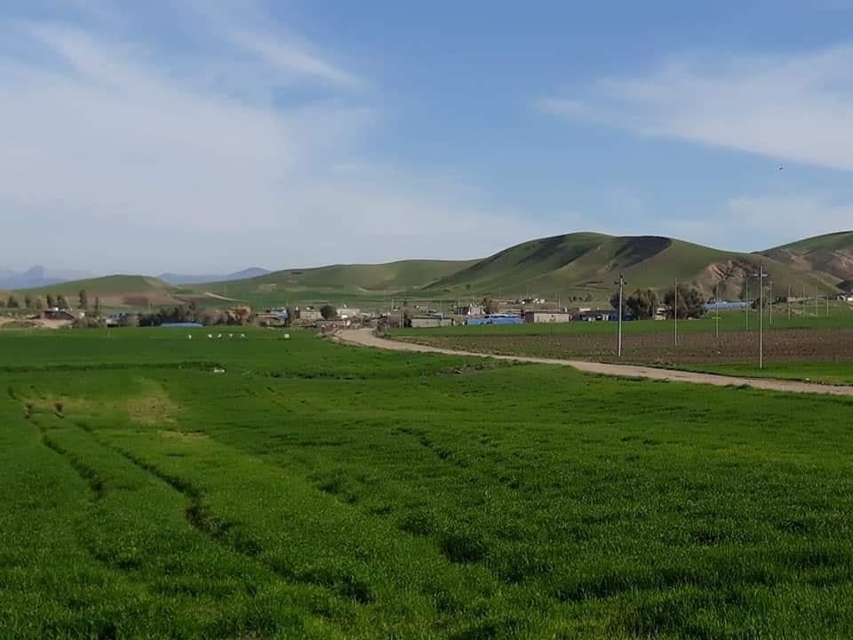 کرین و فرۆشتن لە گوندی کانی بەردینە ( Kani Bardina Village )