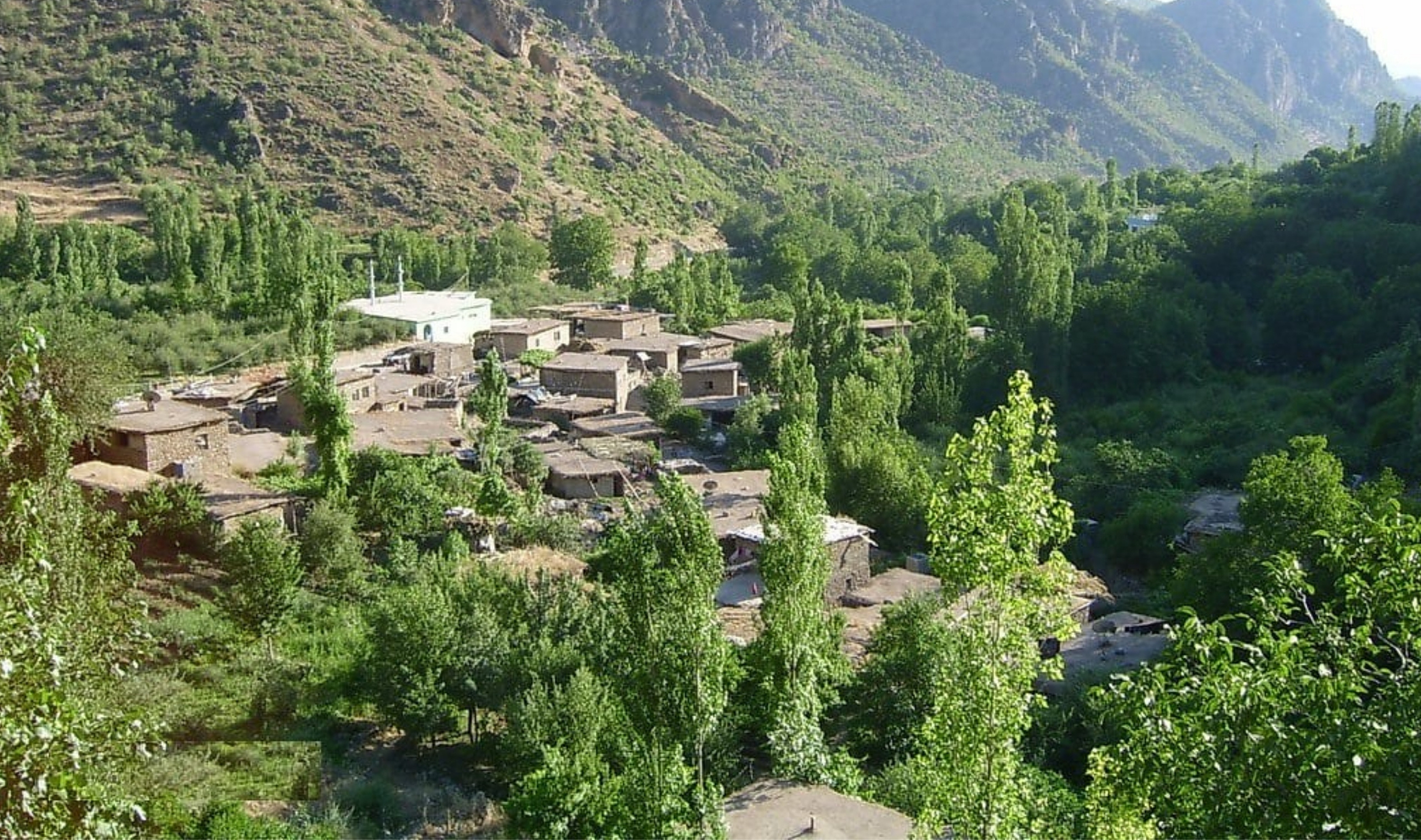 کرین و فرۆشتن لە گوندی کانی ماسی ( Kani Masi Village )