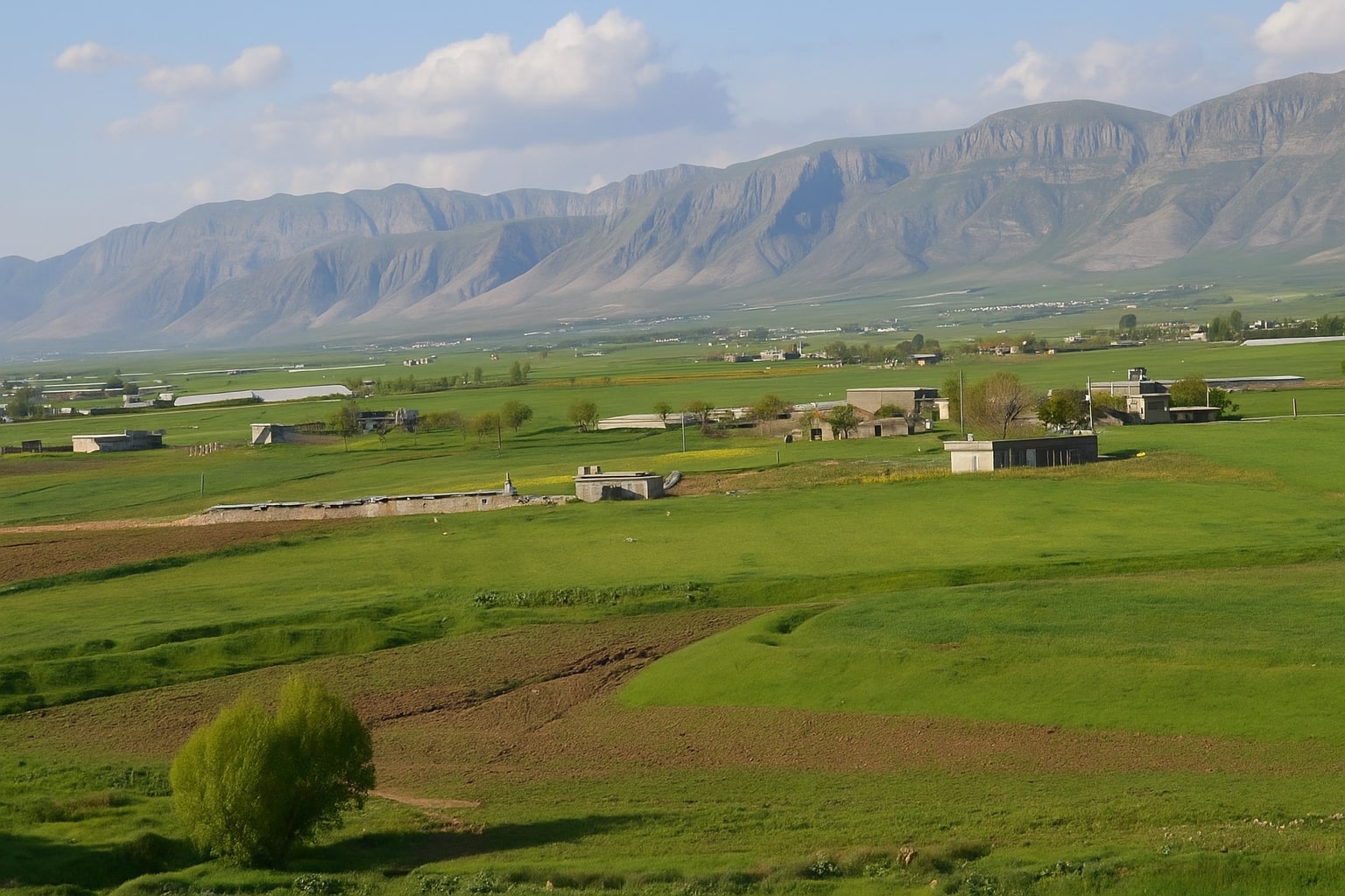 کرین و فرۆشتن کۆکە ( Koka Village )