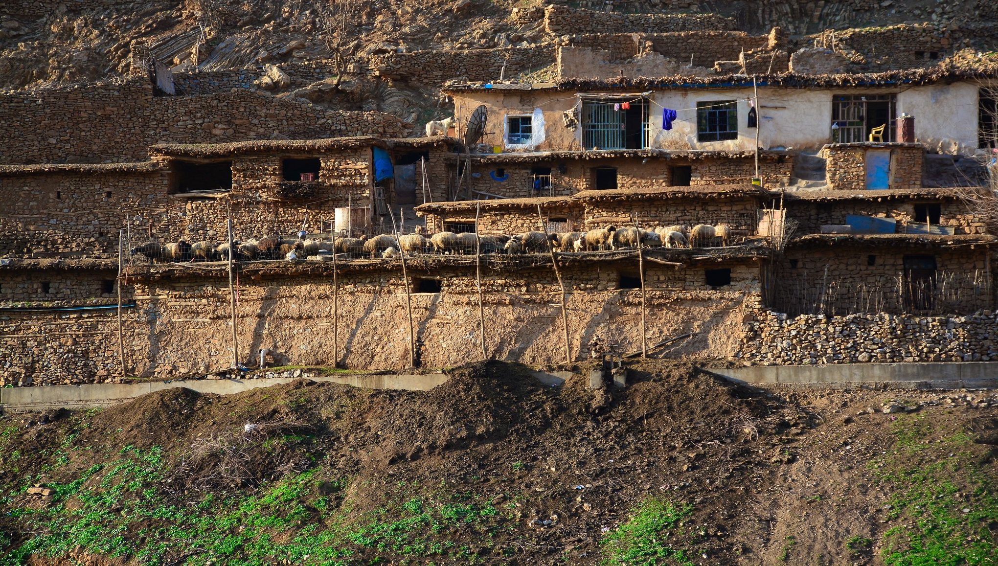 کرین و فرۆشتن لە کۆلیتان ( Kolitan village )