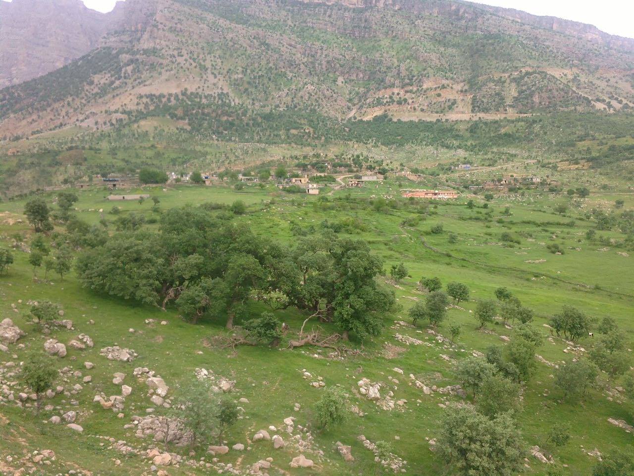 کرین و فرۆشتن لە ماندان ( Mandan village )