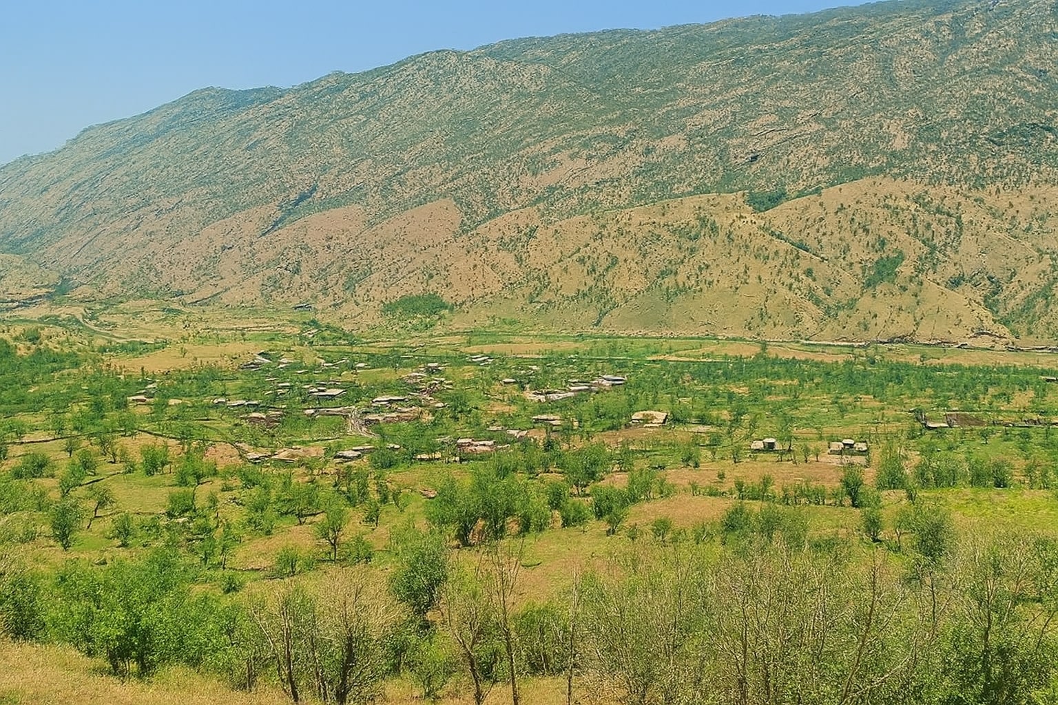 کرین و فرۆشتن لە ناومێرگان ( Nawmergan village )