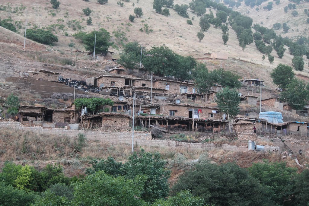 کرین و فرۆشتن لە نۆرک ( Nork village )