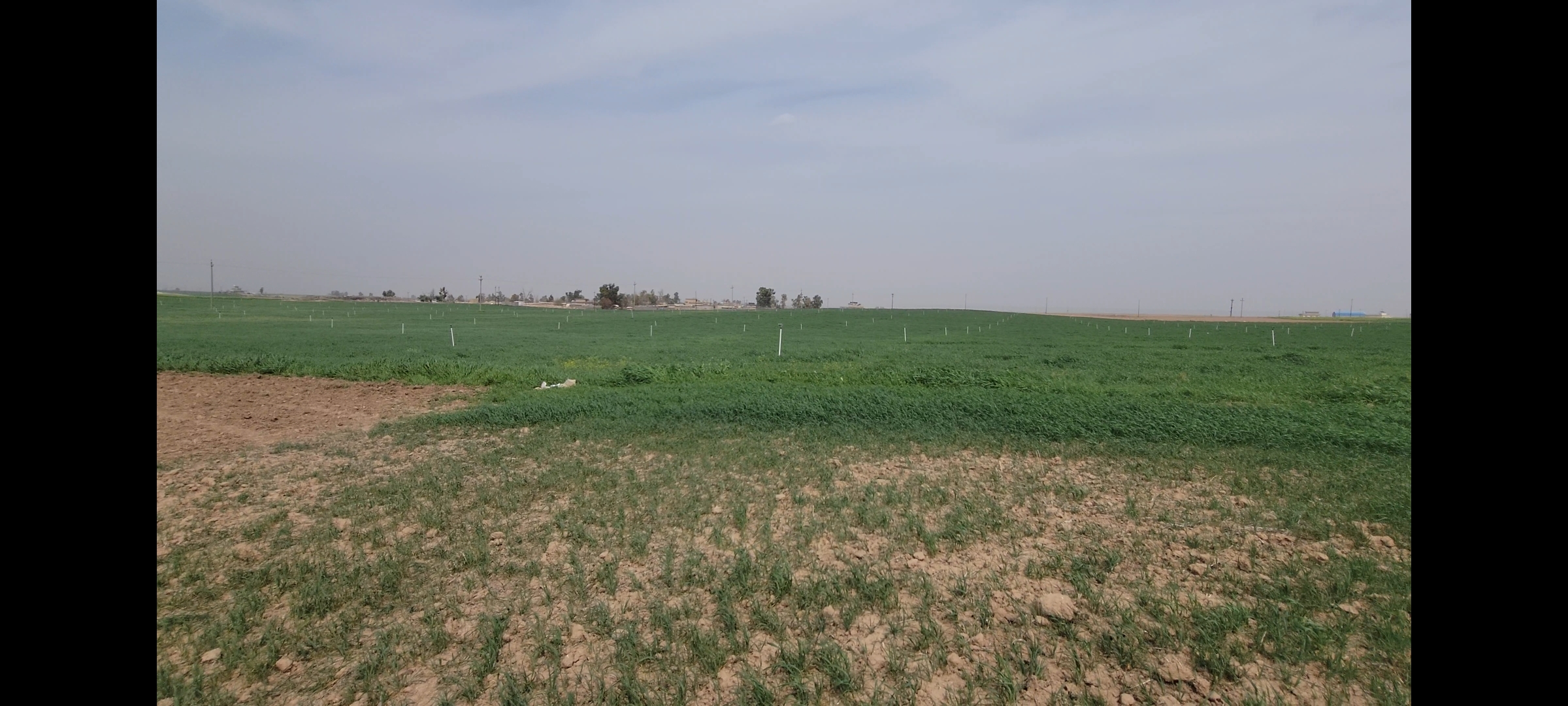 کرین و فرۆشتن لە قەپران ( Qapran Village )