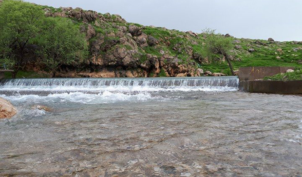 کرین و فرۆشتن لە ڕیشکین ( Rishkin )