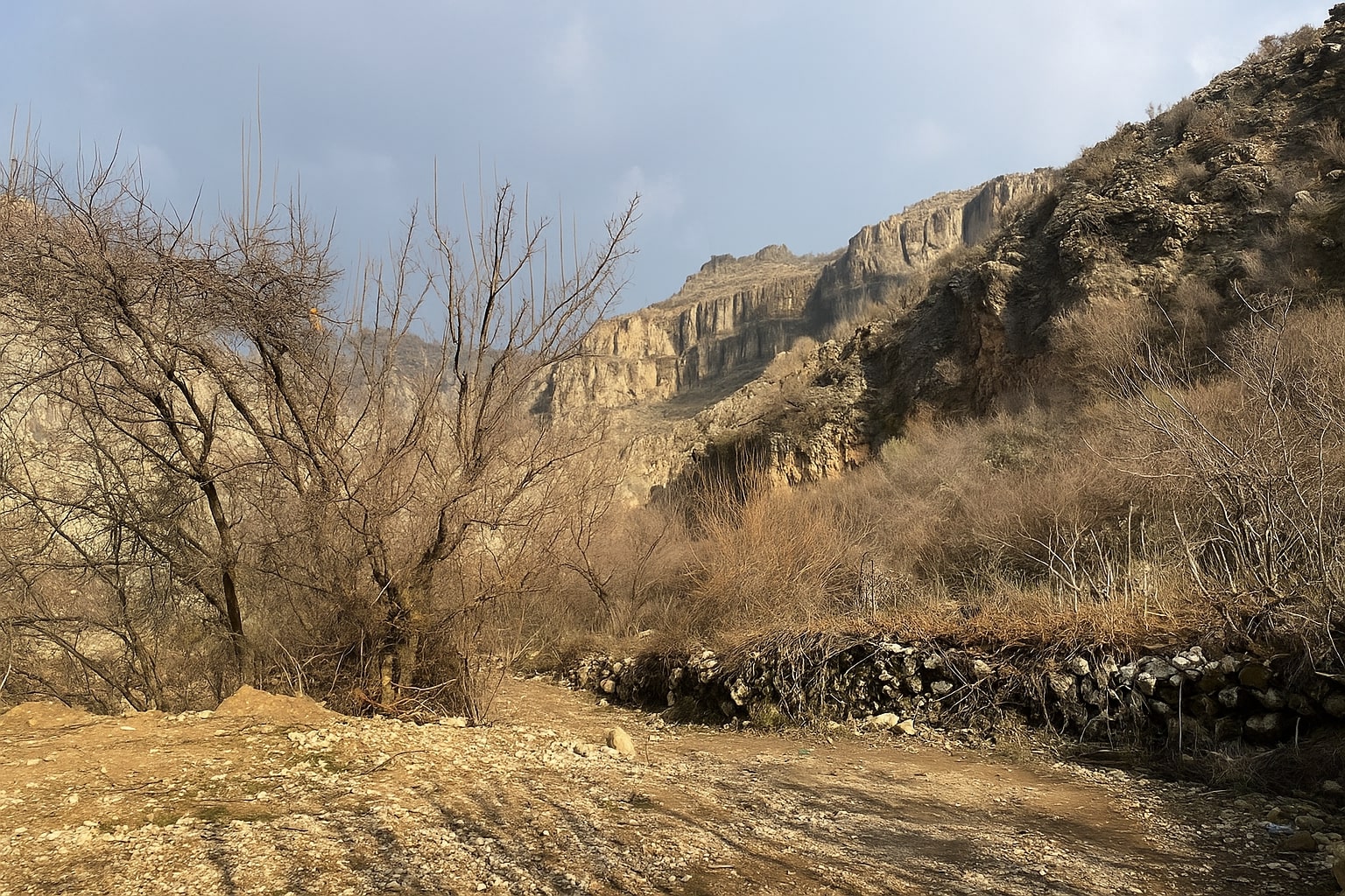 کرین و فرۆشتن لە سەروکانی ( Sarwkani Village )