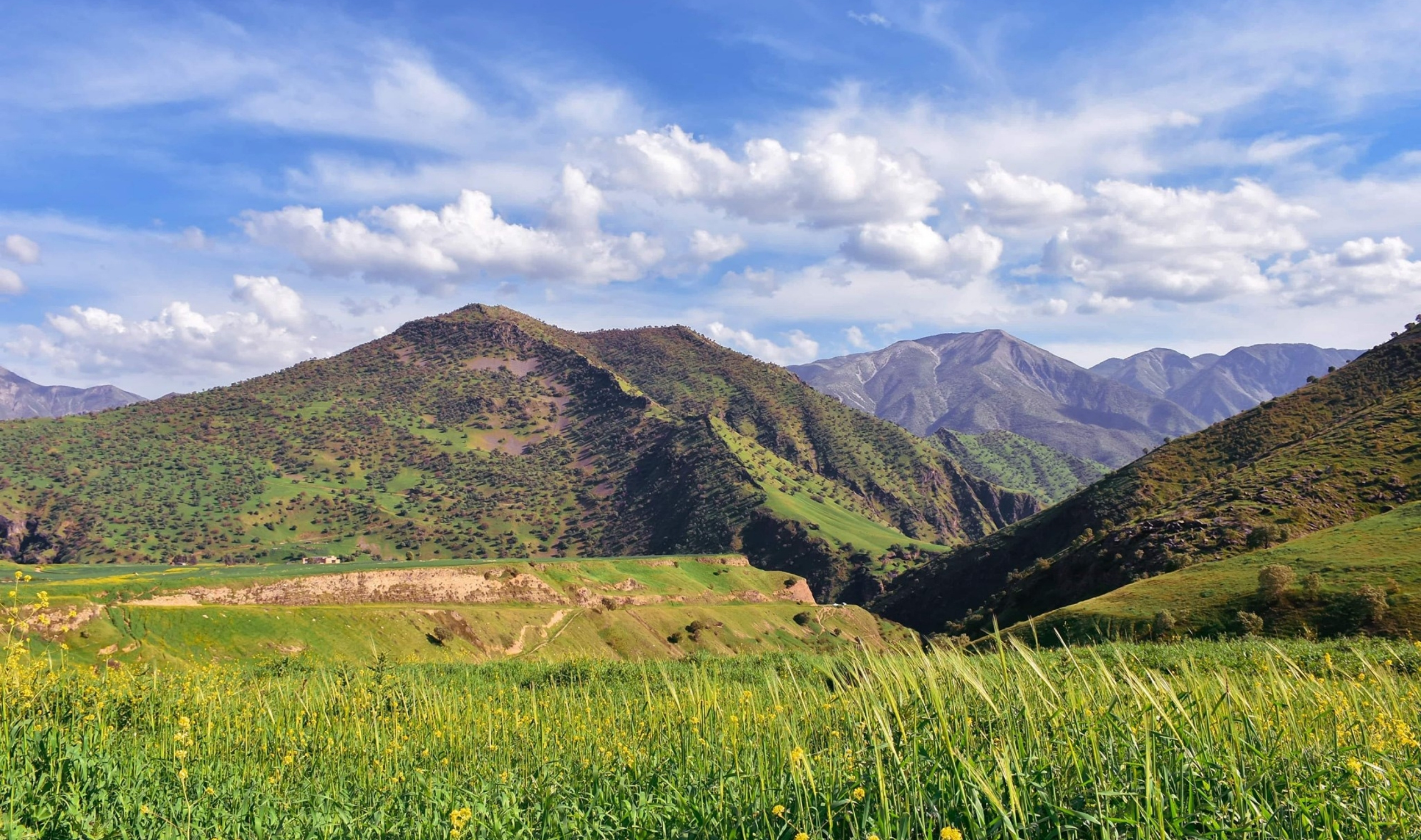 کرین و فرۆشتن لە گوندی سازان ( Sazan Village )