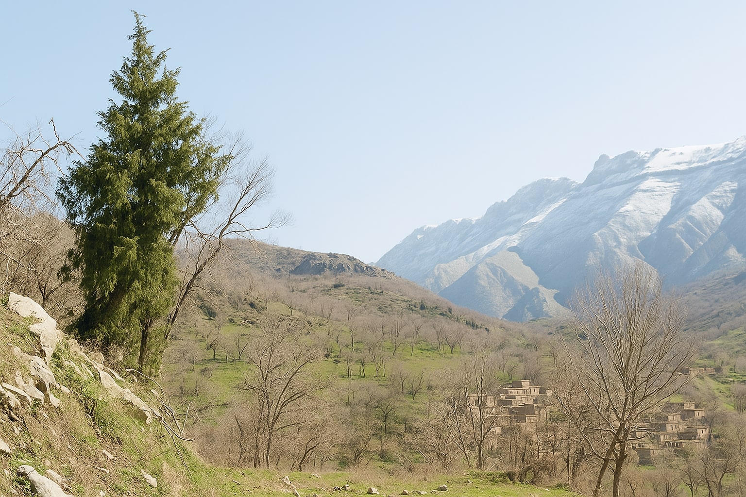 کرین و فرۆشتن لە شنگێل ( Shingel village )