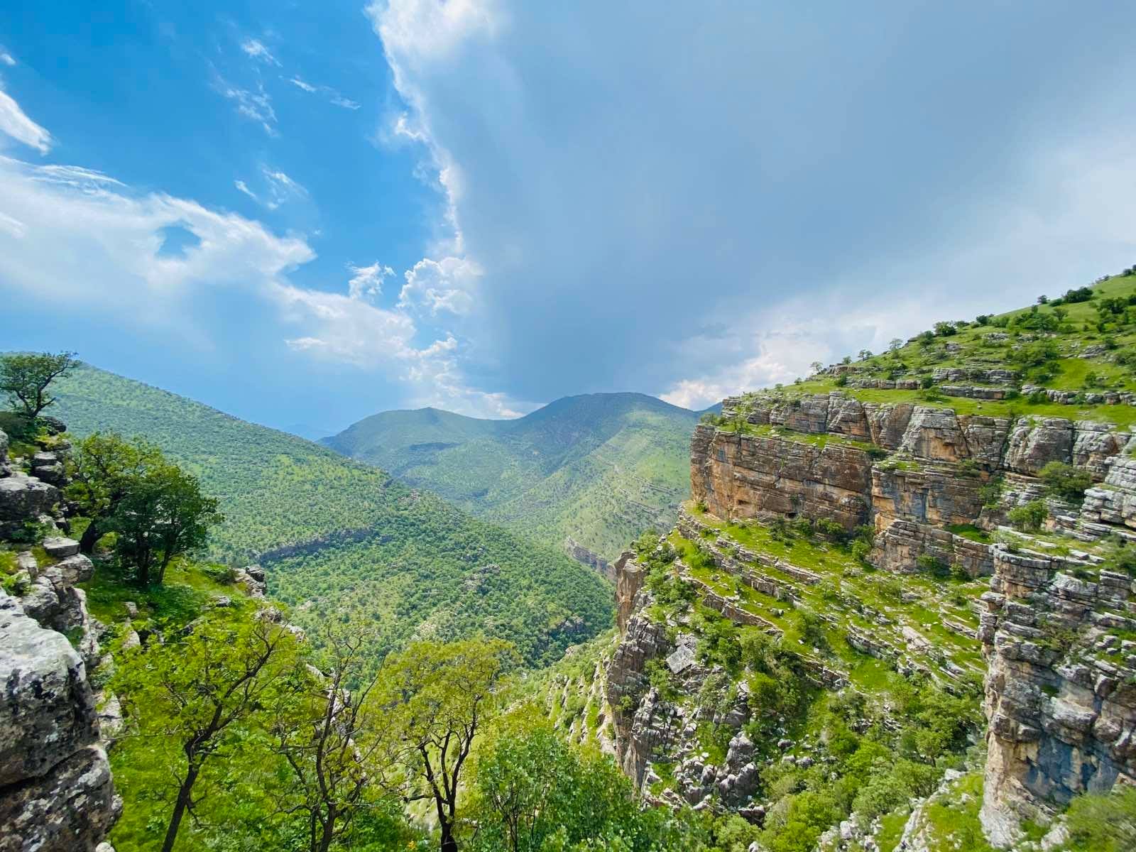 کرین و فرۆشتن لە سینا ( Sina village )