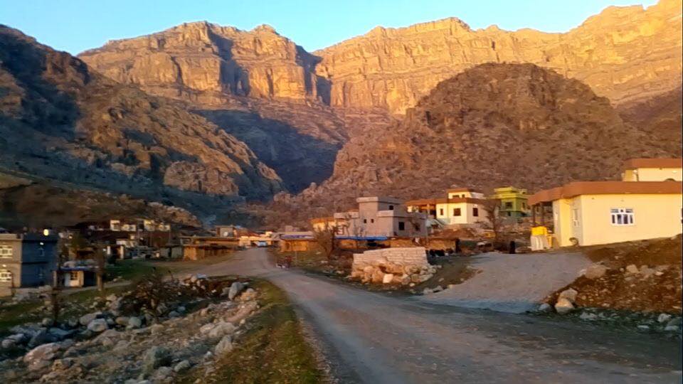کرین و فرۆشتن لە گوندی زەردە گۆم ( Zarde Gom village )