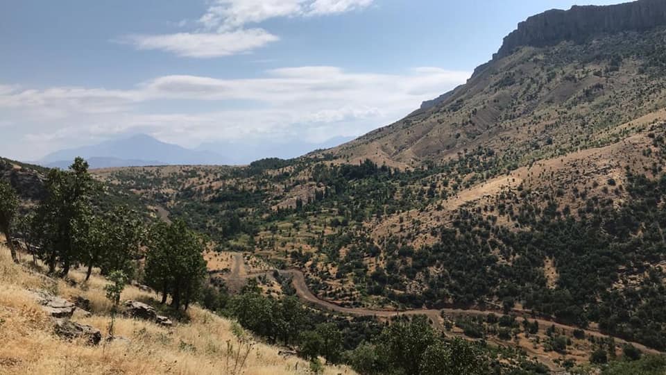 کرین و فرۆشتن لە زێت ( Zet Village )