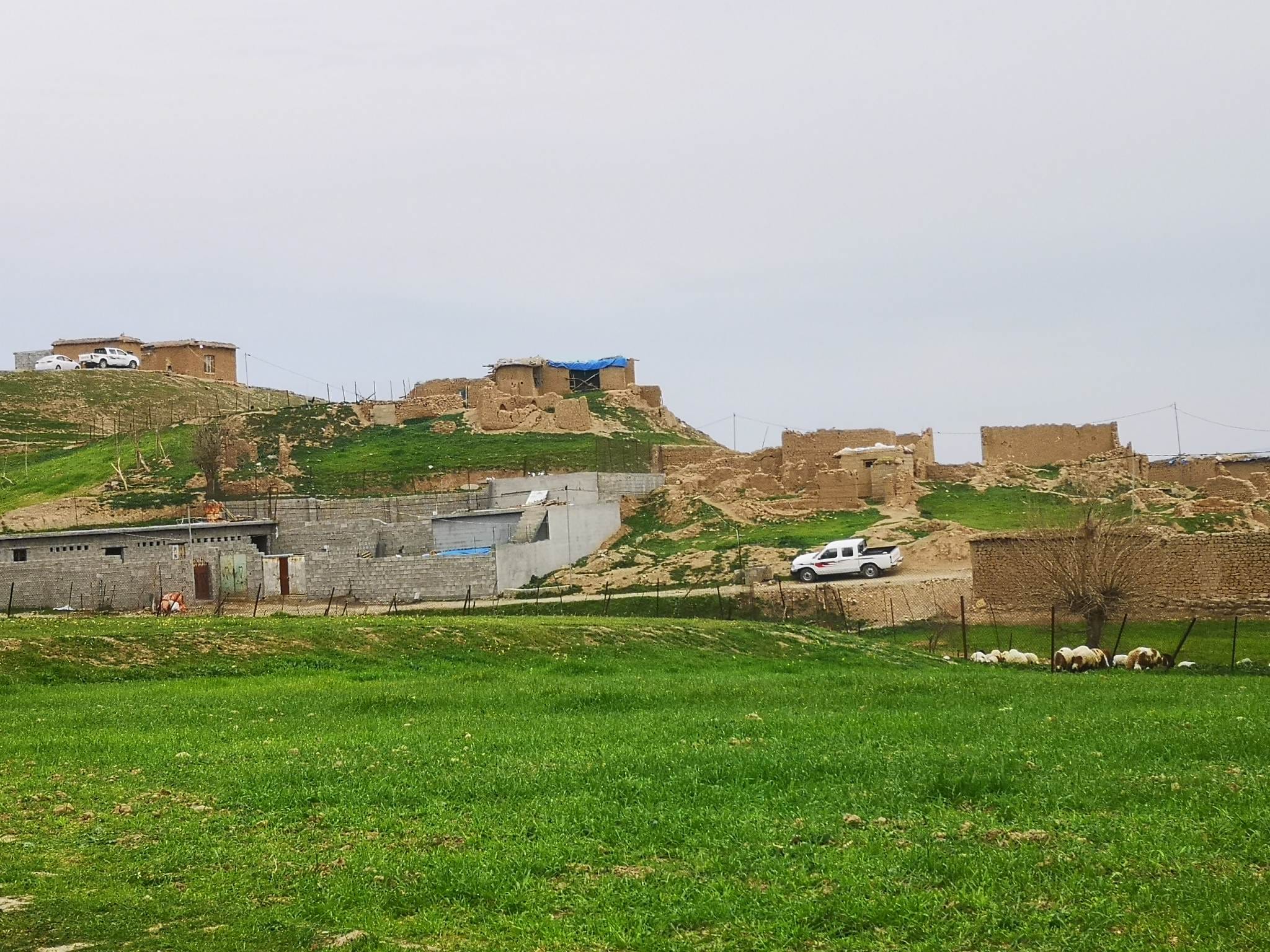 کرین و فرۆشتن لە باغەجنێر ( Baghajner village )