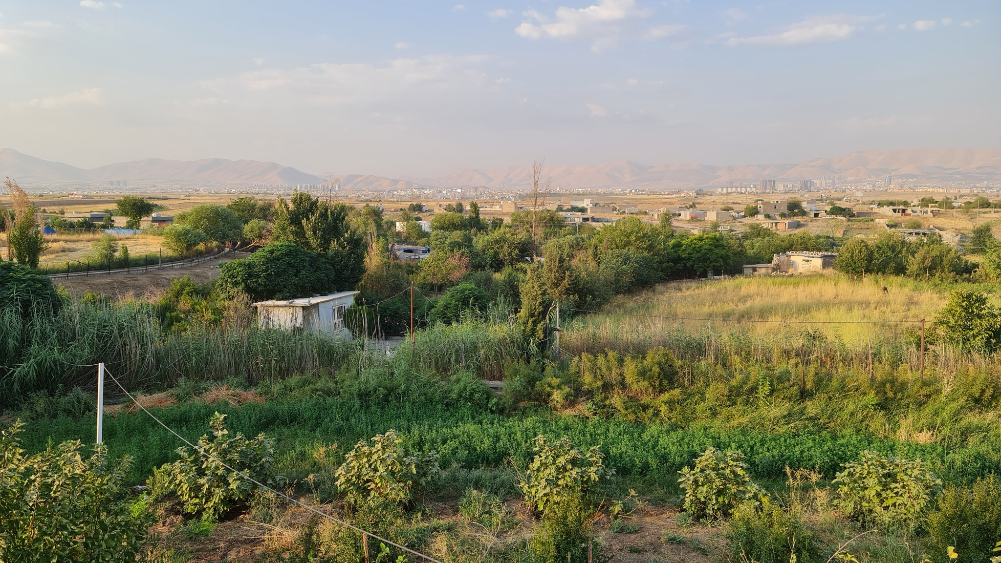 کرین و فرۆشتن لە بنگرد ( Bngrd village )