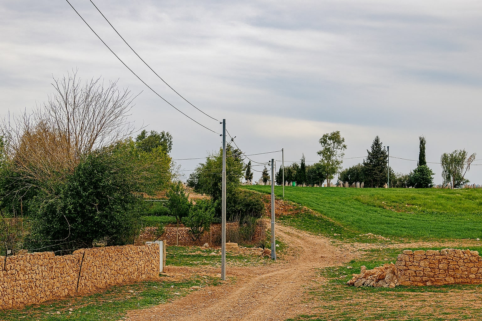 کرین و فرۆشتن لە دۆندار ( Dondar village )