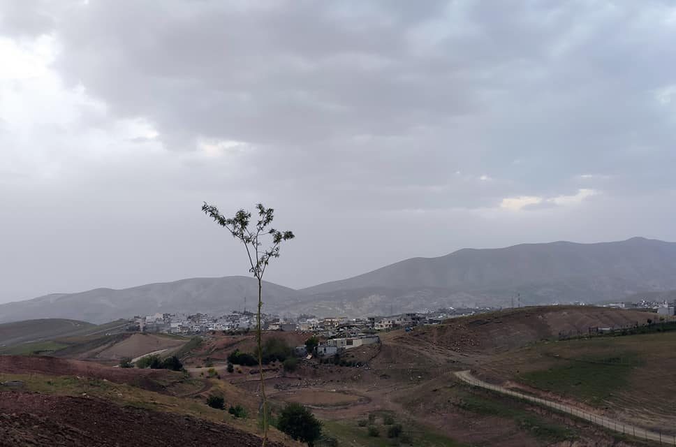 کرین و فرۆشتن لە مەلا داود ( Mala Daud neighborhood )