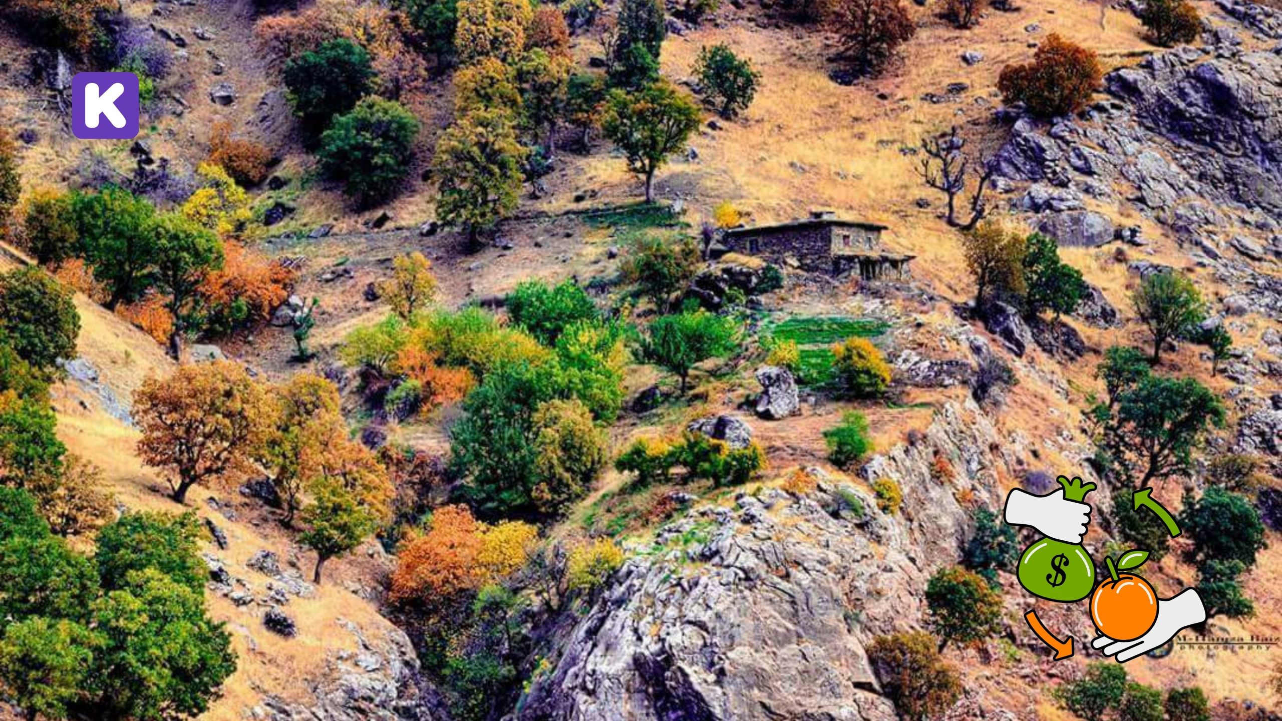 کرین و فرۆشتن لە گوندی سەرشێو ( Sarshiw Village )