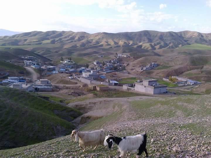 کرین و فرۆشتن لە شیوەجان ( Shiwajan Village )