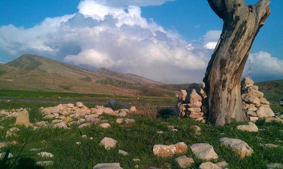 کرین و فرۆشتن لە سماق شیرینی گەورە ( Smaq Shirini Gawra Village )