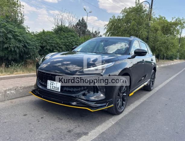 Dongfeng Forthing 2024