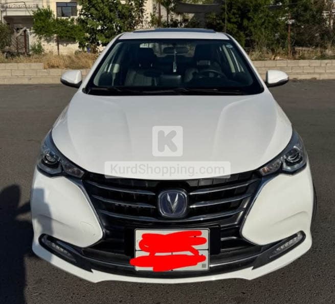 Changan Alsvin 2020