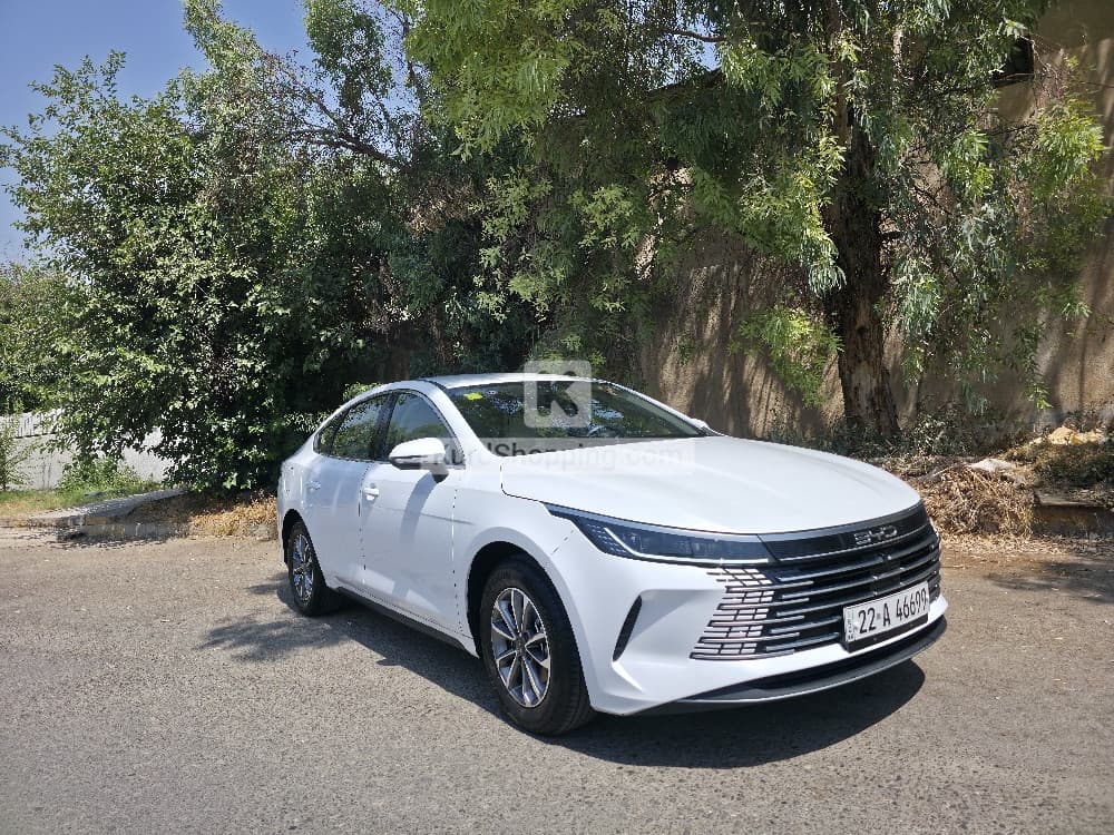 BYD DESTROYER 05 2025