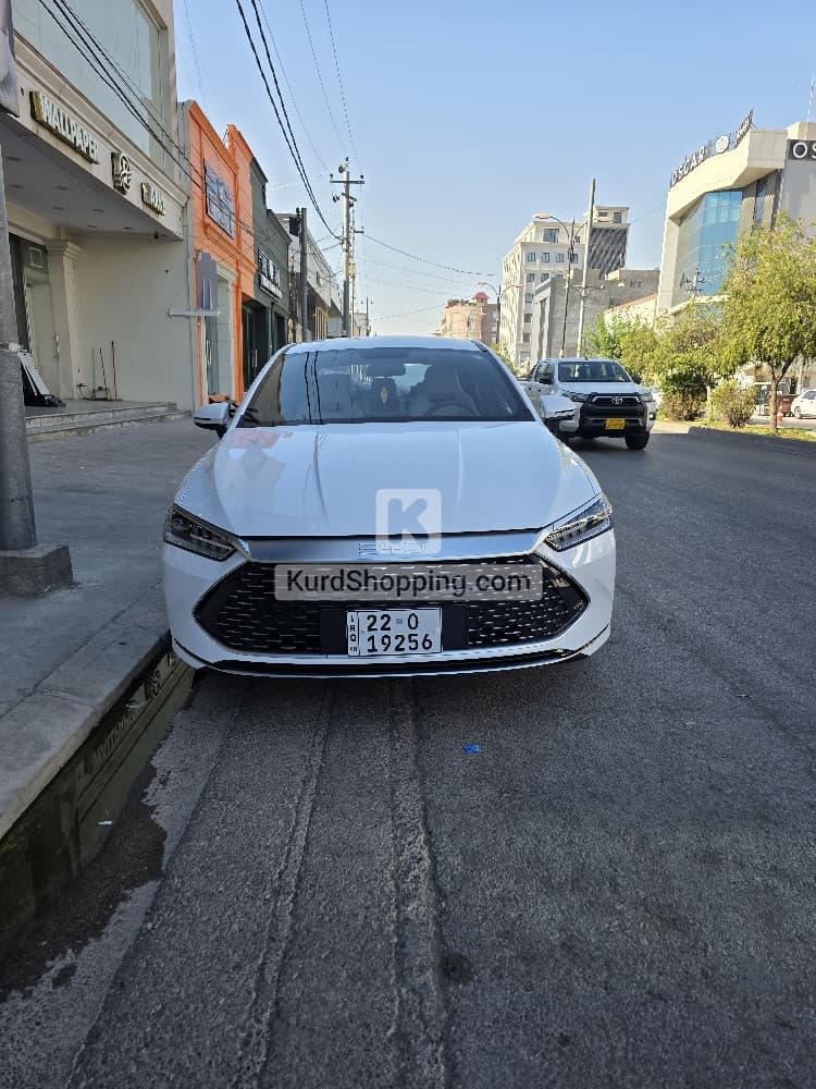 BYD QIN PLUS 2025