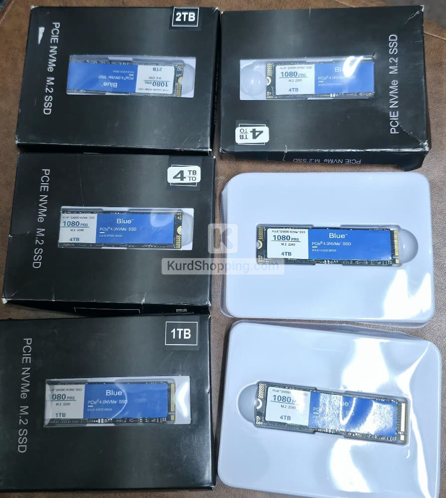 Western Digital Others