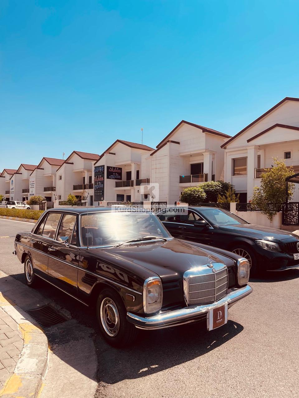 Mercedes Benz 220 1969