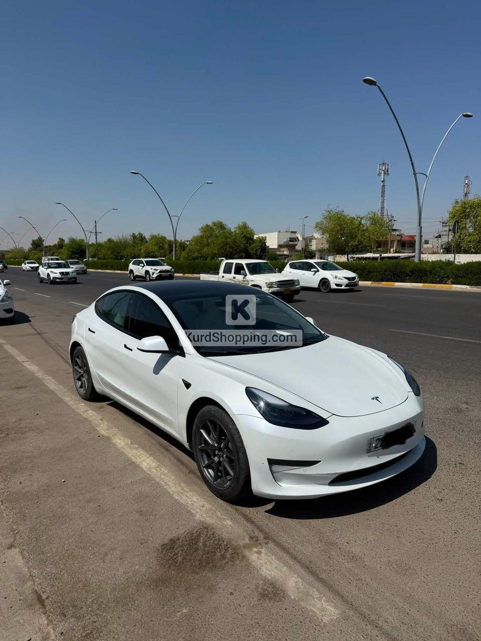 Tesla Model 3 2022