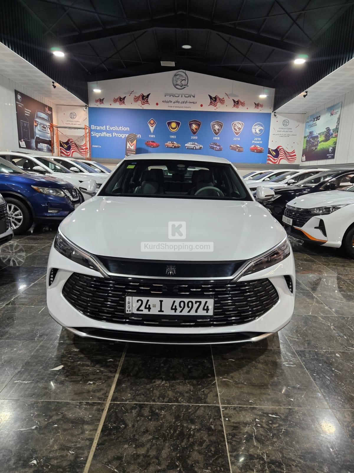 Dongfeng Shine 2024